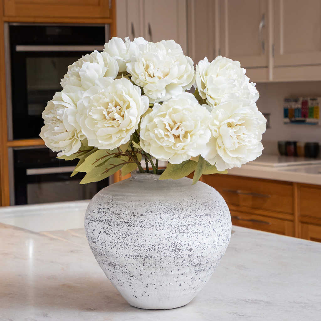 2x Peony Pure White 2L Pot Fragrant Perennial Garden Plant