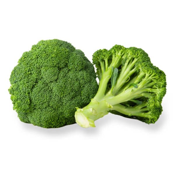 5 x Sprouting Broccoli plug plants 'Grow Your Own' - Healthy Vegetables