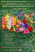 28 x Summer Flower Bulbs Mix – Gladioli, Dahlia, Liatris, Begonia