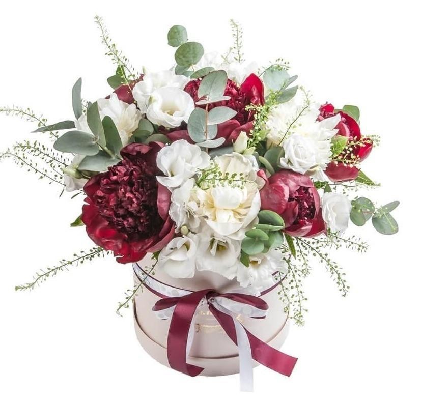 Peony Plants 2L Pots Red & White Fragrant Garden Perennials